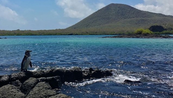 Ilha Floreana
