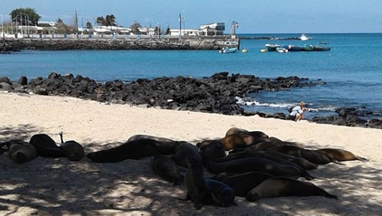 Ilha San Cristóbal