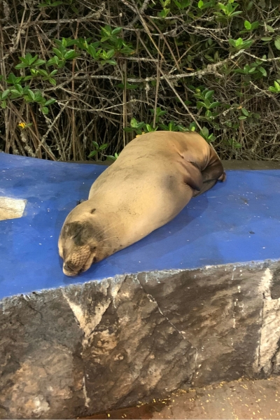 Isla Santa Cruz - 7