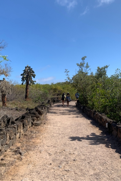 Isla Santa Cruz - 8